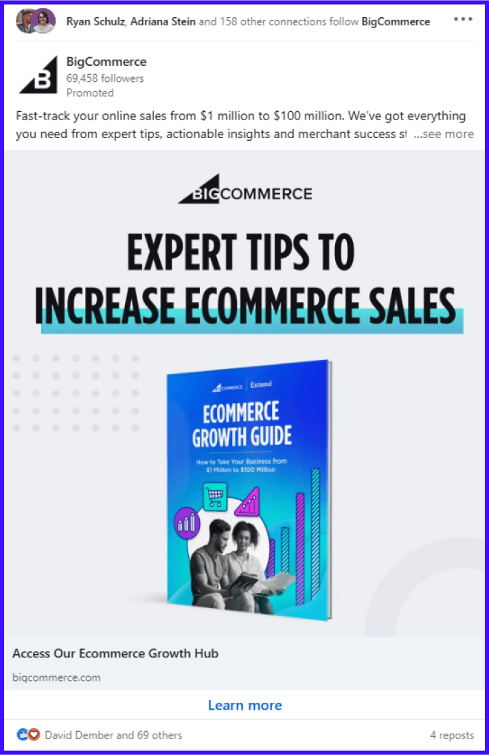 BigCommerce PPC Ad Example